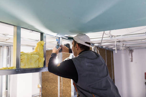 Best Residential Insulation in Poydras, LA